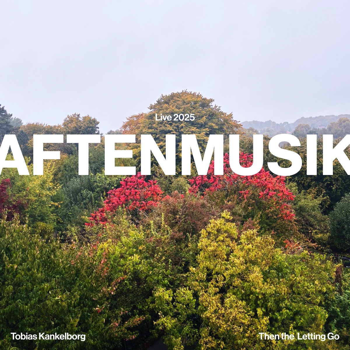 Tobias Kankelborg & Then The Letting Go - Aftenmusik Live album cover