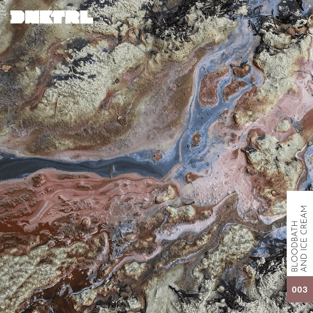 DNKTRL - Bloodbath and Ice Cream album cover