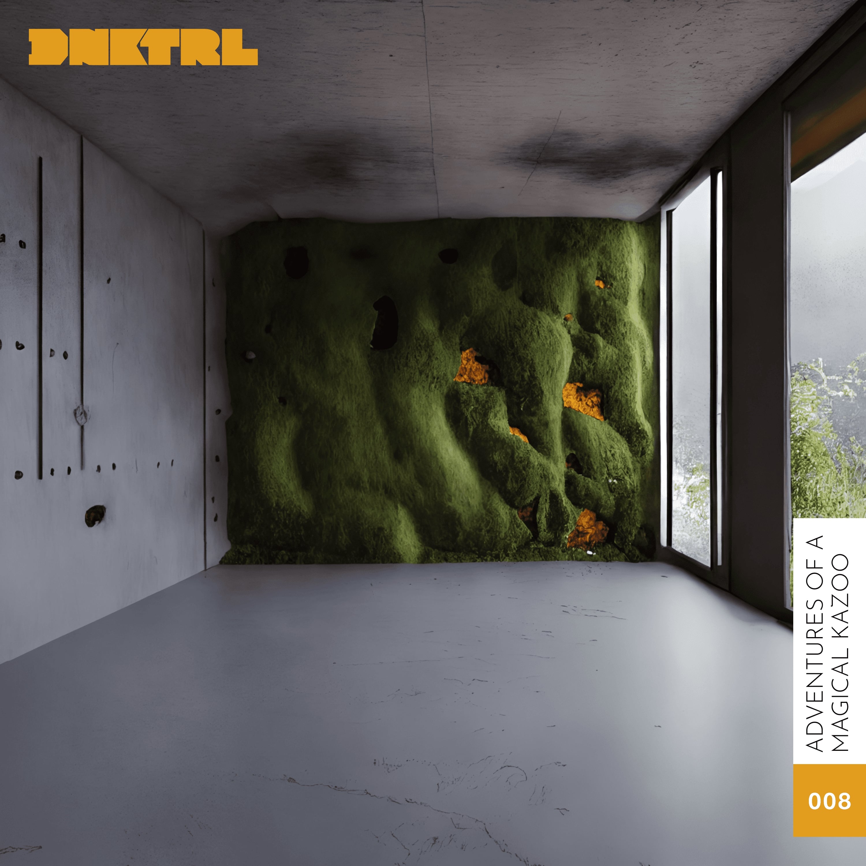 DNKTRL - Adventures of a Magical Kazoo album cover