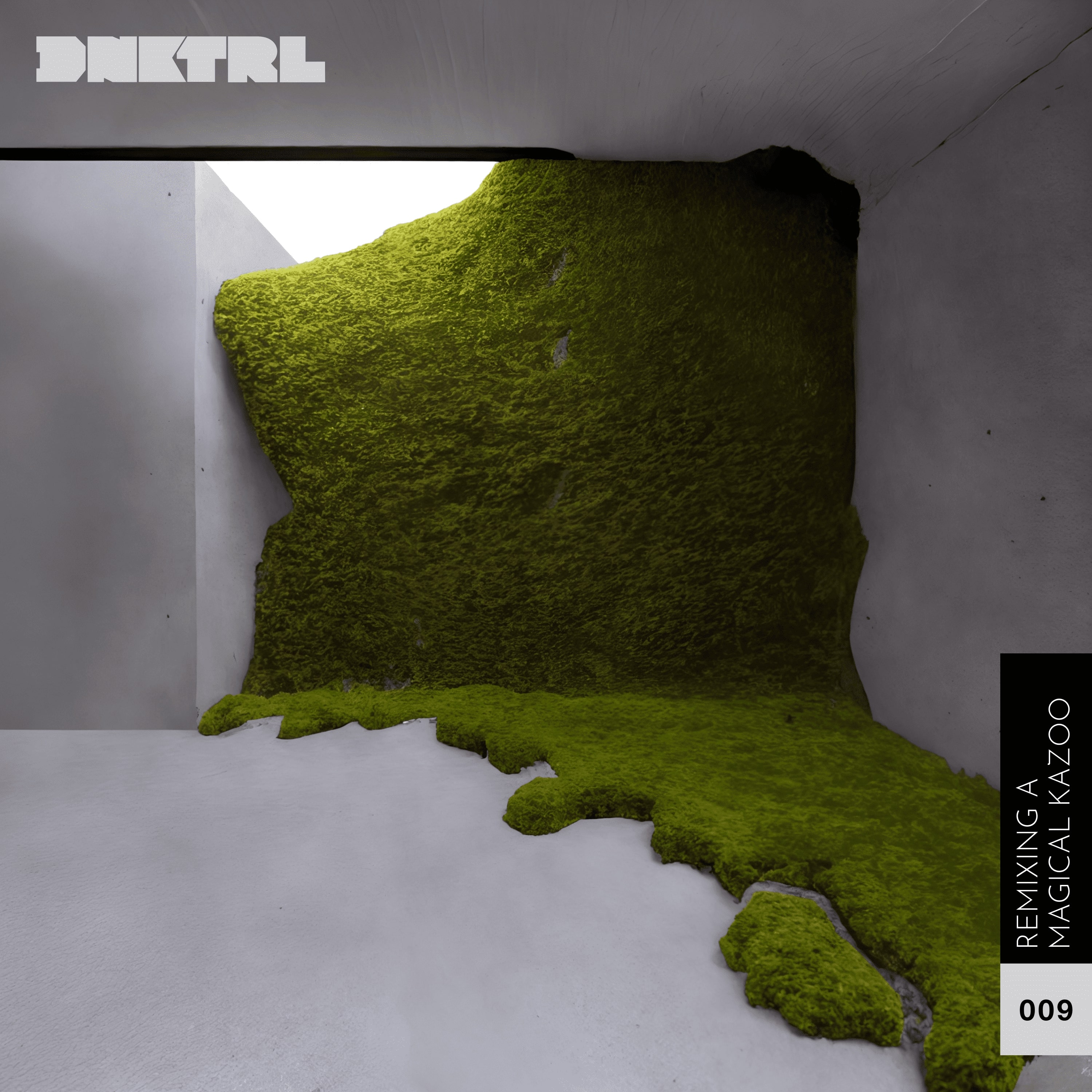 DNKTRL - Remixing a Magical Kazoo album cover