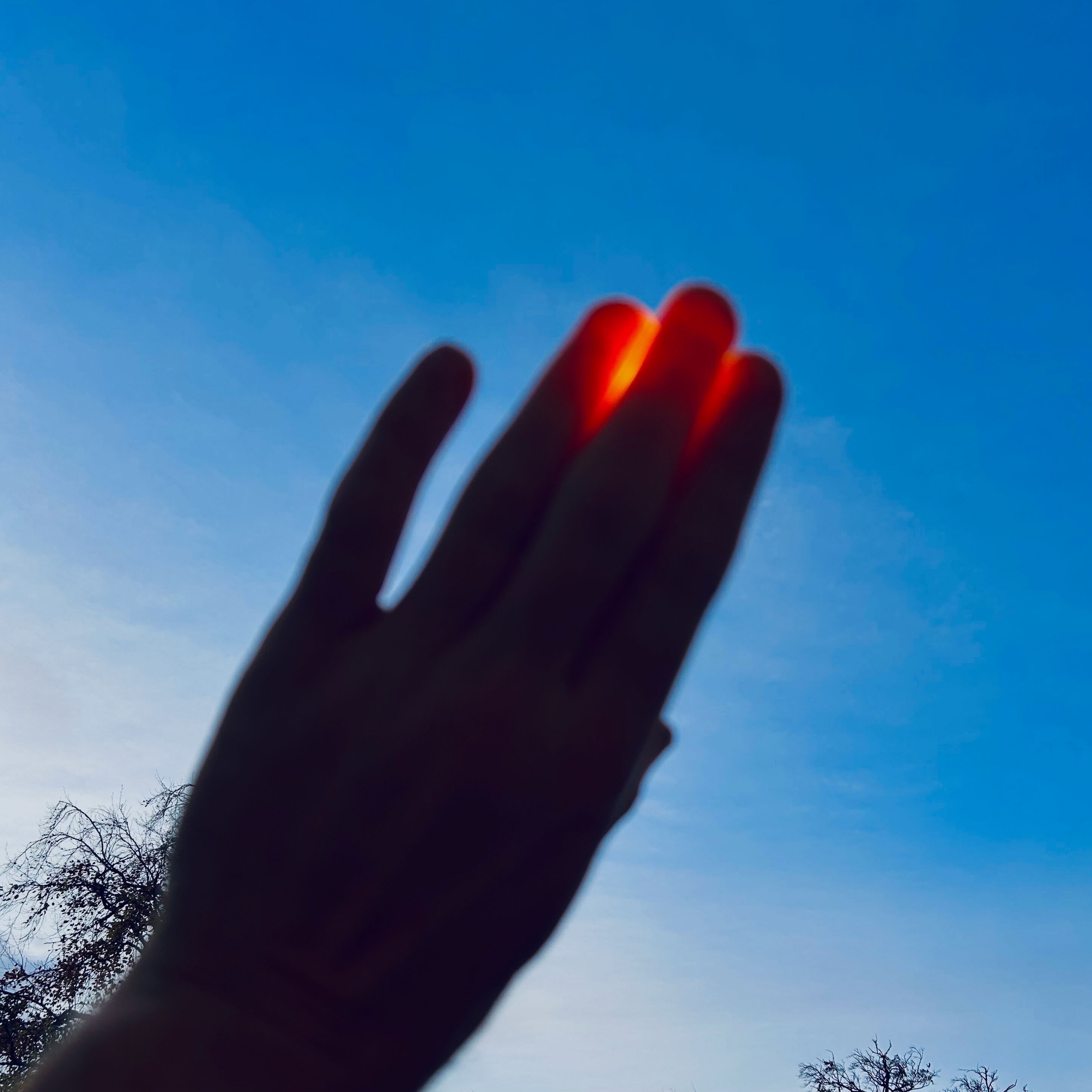 BM404 - Solfinger album cover